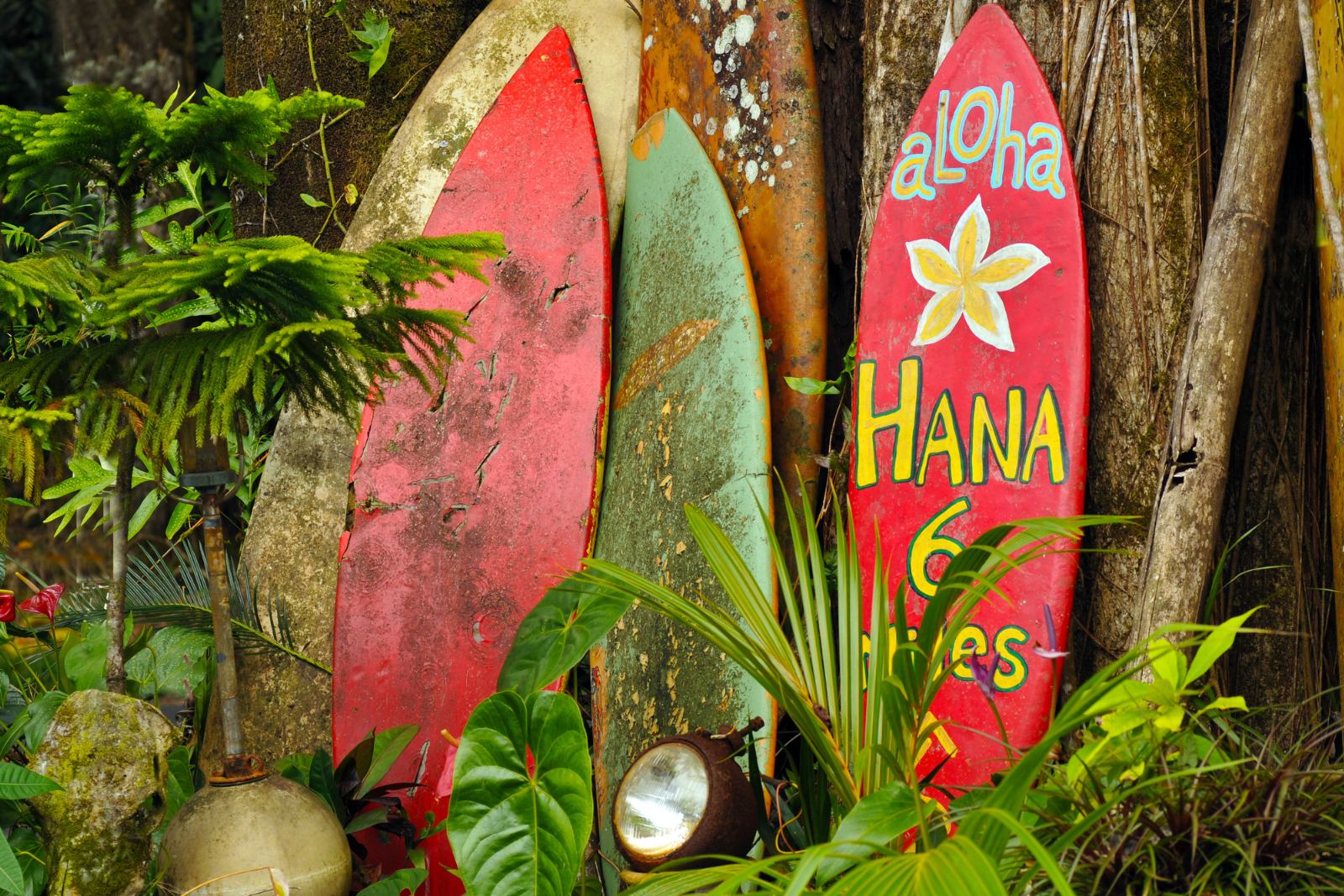 Culture surf 974 à La Réunion Vieilles planches de surf colorées posées dans une végétation tropicale à La Réunion